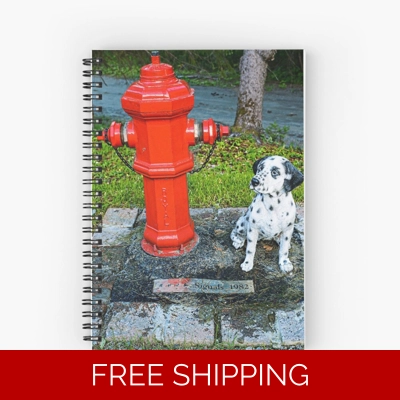 Le Studio Spiral Notebook Rush Signals Monument 2019